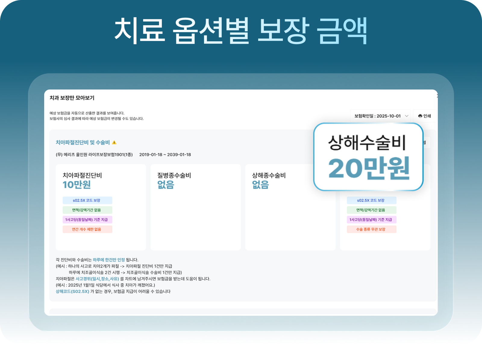 치료 옵션별 보장 금액